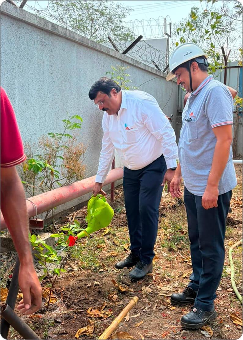 Employees at a tree plantation drive